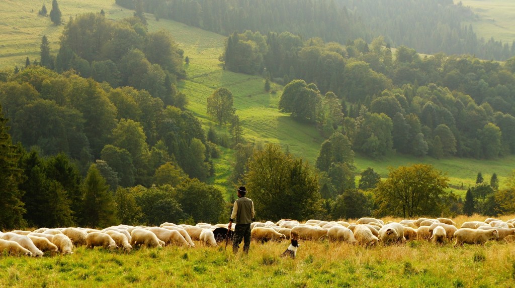 The Seven Virtues for Young Pastors