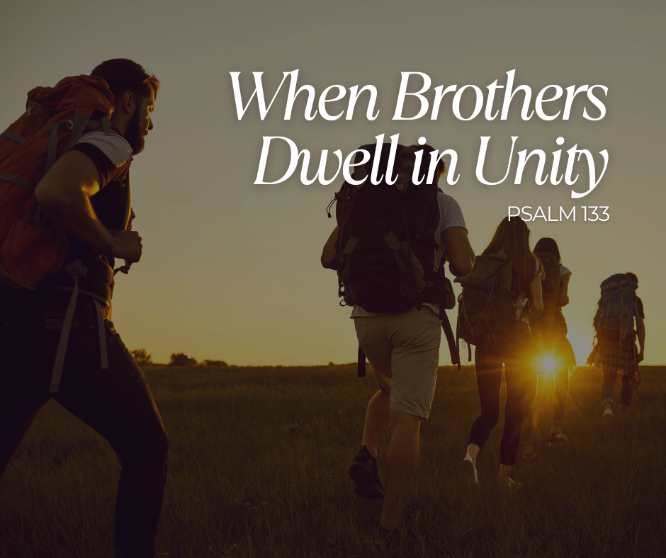 When Brothers Dwell in Unity